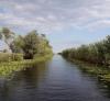 Delta Dunării afectată de ploile abundente. Multe canale sunt blocate 