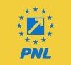 Alegeri cu scandal la PNL Timișoara. Agenții de pază și poliția au intervenit de la prima oră