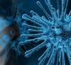 Avertisment OMS: Infecția cu COVID-19 nu poate fi tratată deocamdată ca o boală endemică